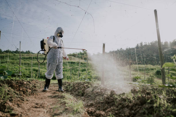 Best Pest Removal Services  in Warrenton, OR