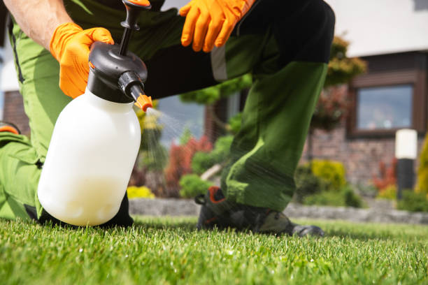 Best Pest Removal Services  in Warrenton, OR
