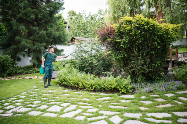 Best Rat Extermination Near Me  in Warrenton, OR