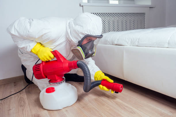 Best Affordable Pest Control Services  in Warrenton, OR