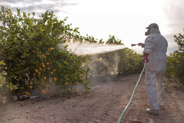 Best Affordable Pest Control Services  in Warrenton, OR
