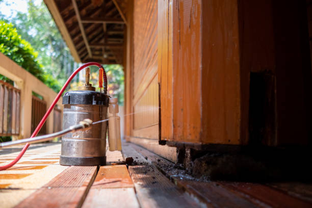 Best Mosquito Control Services  in Warrenton, OR