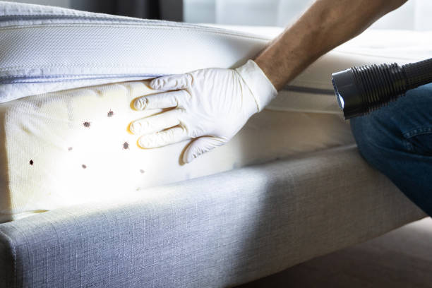 Best Pest Control for Homes  in Warrenton, OR