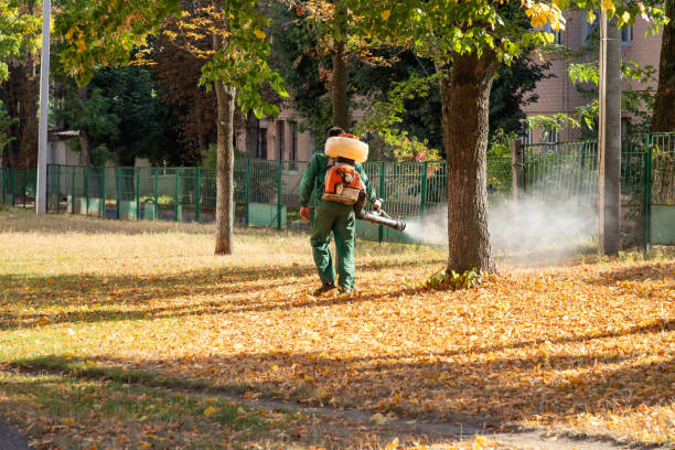 Best Residential Pest Control  in Warrenton, OR