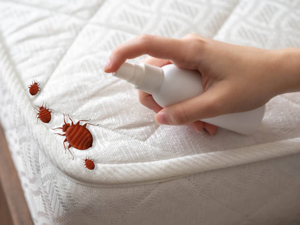 Best Pest Control for Businesses  in Warrenton, OR