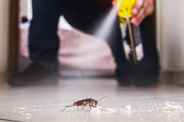 Best Termite Control Services  in Warrenton, OR