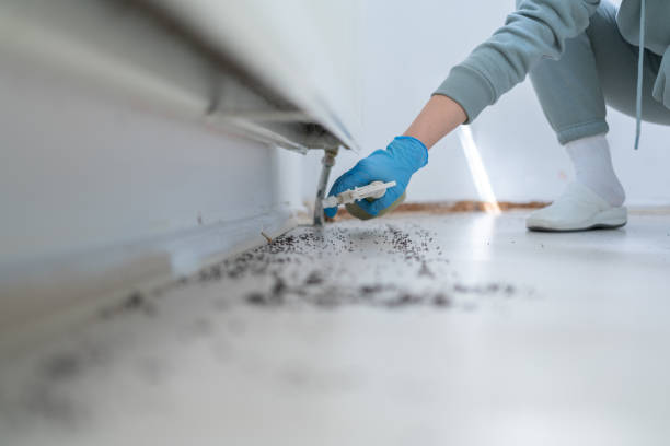 Best Best Pest Control Companies  in Warrenton, OR