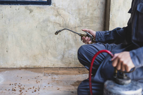 Best Wasp Removal Services  in Warrenton, OR